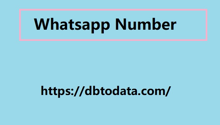 Whatsapp Number